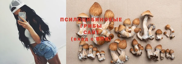 мяу мяу кристалл Горно-Алтайск