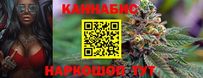 индика Гагарин