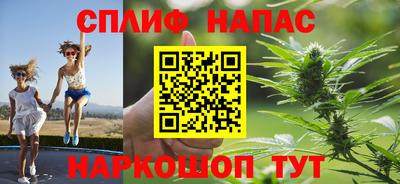 бошки Бийск