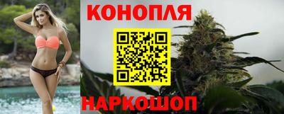 бошки Бийск