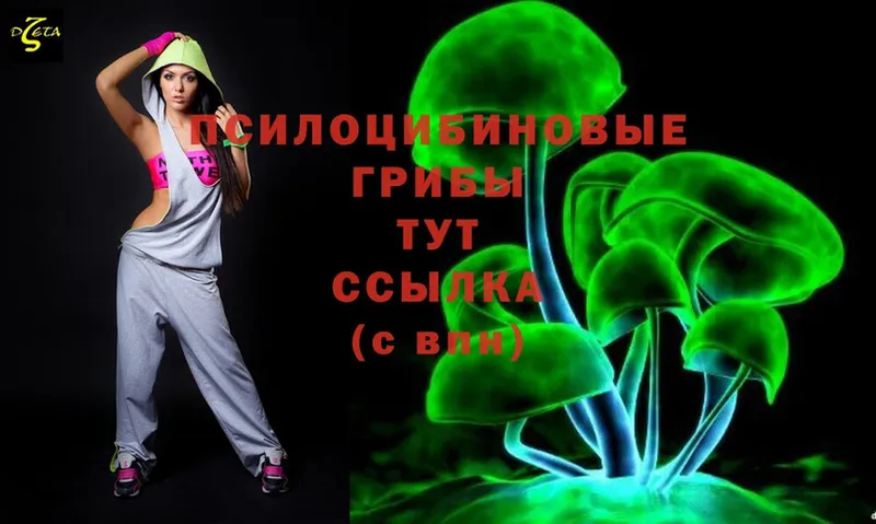 Галлюциногенные грибы Cubensis  Дивногорск 