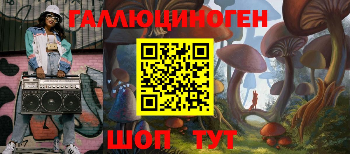 Псилоцибиновые грибы мицелий Дивногорск