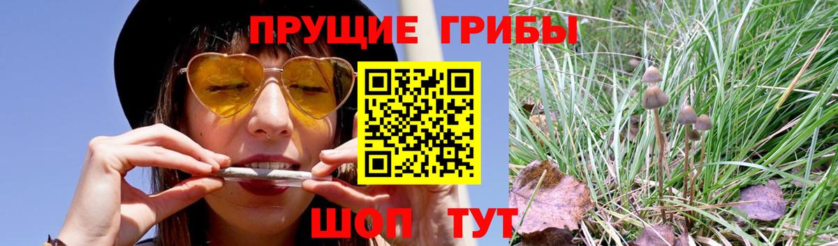 Галлюциногенные грибы прущие грибы  Псилоцибиновые грибы мухоморы  Дивногорск  Вход с VPN 